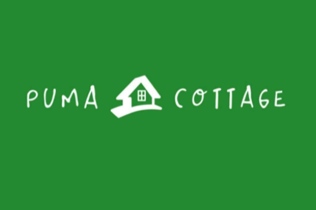 Puma Cottage Horcón Eksteriør bilde